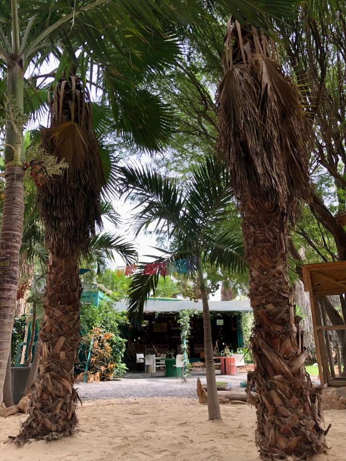 Tropical Morabeza Apartment Santa Maria Kültér fotó